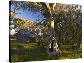 Wallace's Hut, Bogong High Plains, Apline National Park, Victoria, Australia, Pacific-Schlenker Jochen-Stretched Canvas