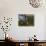 Wallace's Hut, Bogong High Plains, Apline National Park, Victoria, Australia, Pacific-Schlenker Jochen-Photographic Print displayed on a wall