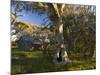 Wallace's Hut, Bogong High Plains, Apline National Park, Victoria, Australia, Pacific-Schlenker Jochen-Mounted Photographic Print