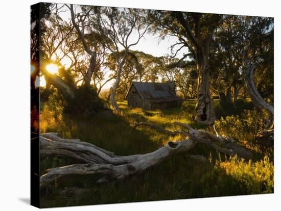 Wallace's Hut, Bogong High Plains, Apline National Park, Victoria, Australia, Pacific-Schlenker Jochen-Stretched Canvas