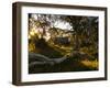 Wallace's Hut, Bogong High Plains, Apline National Park, Victoria, Australia, Pacific-Schlenker Jochen-Framed Photographic Print