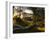 Wallace's Hut, Bogong High Plains, Apline National Park, Victoria, Australia, Pacific-Schlenker Jochen-Framed Photographic Print