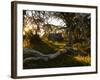 Wallace's Hut, Bogong High Plains, Apline National Park, Victoria, Australia, Pacific-Schlenker Jochen-Framed Photographic Print