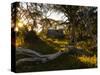 Wallace's Hut, Bogong High Plains, Apline National Park, Victoria, Australia, Pacific-Schlenker Jochen-Stretched Canvas