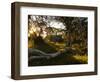 Wallace's Hut, Bogong High Plains, Apline National Park, Victoria, Australia, Pacific-Schlenker Jochen-Framed Photographic Print