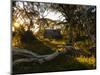 Wallace's Hut, Bogong High Plains, Apline National Park, Victoria, Australia, Pacific-Schlenker Jochen-Mounted Photographic Print