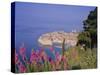 Walled City of Dubrovnik, Croatia, Europe-Charles Bowman-Stretched Canvas