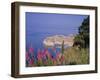 Walled City of Dubrovnik, Croatia, Europe-Charles Bowman-Framed Photographic Print