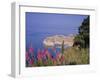 Walled City of Dubrovnik, Croatia, Europe-Charles Bowman-Framed Photographic Print