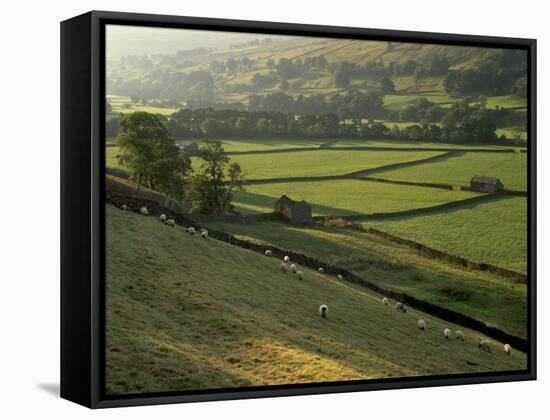 Walled Fields and Barns, Swaledale, Yorkshire Dales National Park, Yorkshire, England, UK-Patrick Dieudonne-Framed Stretched Canvas