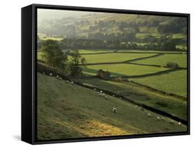 Walled Fields and Barns, Swaledale, Yorkshire Dales National Park, Yorkshire, England, UK-Patrick Dieudonne-Framed Stretched Canvas