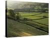Walled Fields and Barns, Swaledale, Yorkshire Dales National Park, Yorkshire, England, UK-Patrick Dieudonne-Stretched Canvas