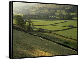 Walled Fields and Barns, Swaledale, Yorkshire Dales National Park, Yorkshire, England, UK-Patrick Dieudonne-Framed Stretched Canvas