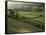 Walled Fields and Barns, Swaledale, Yorkshire Dales National Park, Yorkshire, England, UK-Patrick Dieudonne-Framed Stretched Canvas