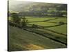 Walled Fields and Barns, Swaledale, Yorkshire Dales National Park, Yorkshire, England, UK-Patrick Dieudonne-Stretched Canvas