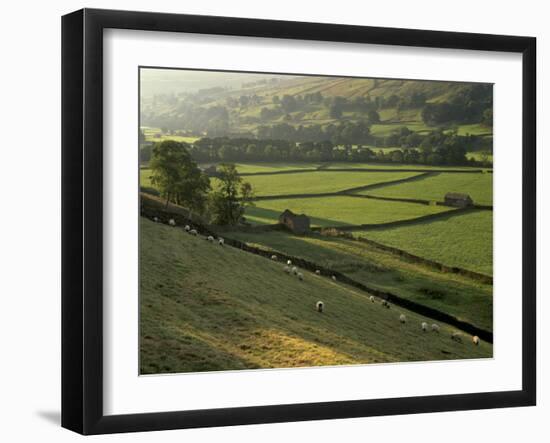 Walled Fields and Barns, Swaledale, Yorkshire Dales National Park, Yorkshire, England, UK-Patrick Dieudonne-Framed Photographic Print