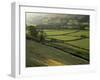 Walled Fields and Barns, Swaledale, Yorkshire Dales National Park, Yorkshire, England, UK-Patrick Dieudonne-Framed Photographic Print