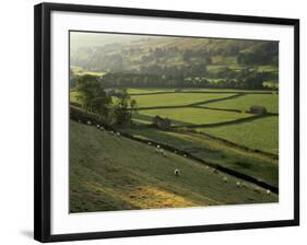 Walled Fields and Barns, Swaledale, Yorkshire Dales National Park, Yorkshire, England, UK-Patrick Dieudonne-Framed Photographic Print