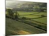 Walled Fields and Barns, Swaledale, Yorkshire Dales National Park, Yorkshire, England, UK-Patrick Dieudonne-Mounted Photographic Print