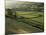 Walled Fields and Barns, Swaledale, Yorkshire Dales National Park, Yorkshire, England, UK-Patrick Dieudonne-Mounted Photographic Print