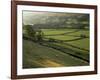 Walled Fields and Barns, Swaledale, Yorkshire Dales National Park, Yorkshire, England, UK-Patrick Dieudonne-Framed Photographic Print