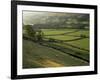Walled Fields and Barns, Swaledale, Yorkshire Dales National Park, Yorkshire, England, UK-Patrick Dieudonne-Framed Photographic Print