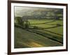 Walled Fields and Barns, Swaledale, Yorkshire Dales National Park, Yorkshire, England, UK-Patrick Dieudonne-Framed Photographic Print