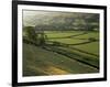 Walled Fields and Barns, Swaledale, Yorkshire Dales National Park, Yorkshire, England, UK-Patrick Dieudonne-Framed Photographic Print