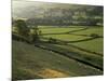 Walled Fields and Barns, Swaledale, Yorkshire Dales National Park, Yorkshire, England, UK-Patrick Dieudonne-Mounted Photographic Print