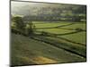 Walled Fields and Barns, Swaledale, Yorkshire Dales National Park, Yorkshire, England, UK-Patrick Dieudonne-Mounted Photographic Print