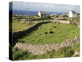 Walled Fields, Inishmore, Aran Islands, County Galway, Connacht, Eire (Republic of Ireland)-Ken Gillham-Stretched Canvas