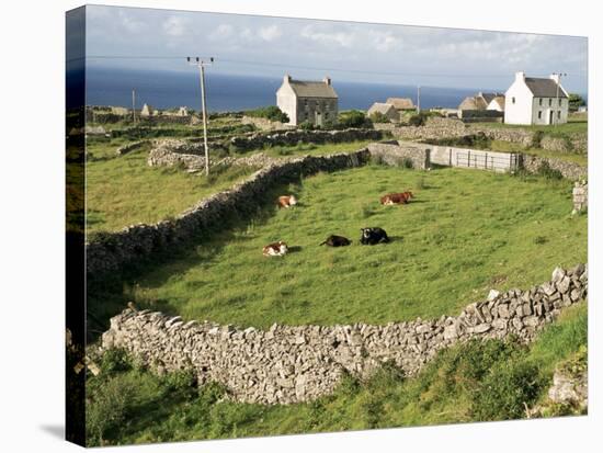 Walled Fields, Inishmore, Aran Islands, County Galway, Connacht, Eire (Republic of Ireland)-Ken Gillham-Stretched Canvas