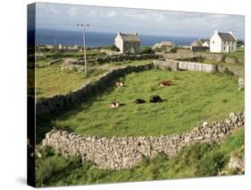 Walled Fields, Inishmore, Aran Islands, County Galway, Connacht, Eire (Republic of Ireland)-Ken Gillham-Stretched Canvas