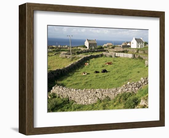 Walled Fields, Inishmore, Aran Islands, County Galway, Connacht, Eire (Republic of Ireland)-Ken Gillham-Framed Photographic Print