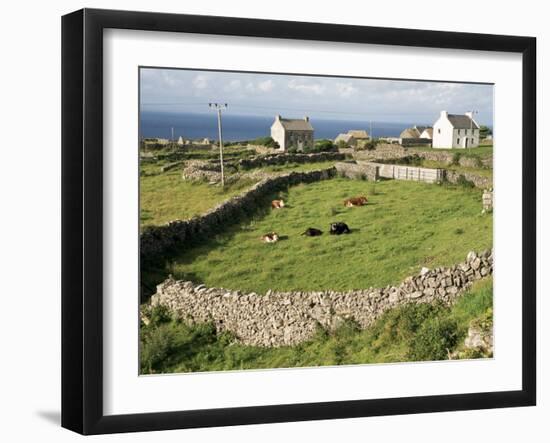 Walled Fields, Inishmore, Aran Islands, County Galway, Connacht, Eire (Republic of Ireland)-Ken Gillham-Framed Photographic Print