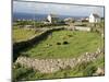 Walled Fields, Inishmore, Aran Islands, County Galway, Connacht, Eire (Republic of Ireland)-Ken Gillham-Mounted Photographic Print