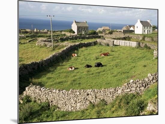 Walled Fields, Inishmore, Aran Islands, County Galway, Connacht, Eire (Republic of Ireland)-Ken Gillham-Mounted Photographic Print