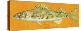 Walleye-John Golden-Stretched Canvas