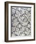 "Wallflower" Design (Textile)-William Morris-Framed Giclee Print