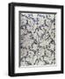 "Wallflower" Design (Textile)-William Morris-Framed Giclee Print