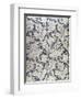 "Wallflower" Design (Textile)-William Morris-Framed Premium Giclee Print