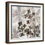 Wallflower III-James Burghardt-Framed Art Print