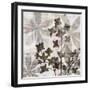 Wallflower III-James Burghardt-Framed Art Print