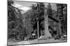 Wallowa Lake, Oregon Lake Lodge View Photograph - Wallowa Lake, OR-Lantern Press-Mounted Art Print