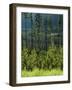 Wallowa National Forest, Hells Canyon National Recreation Area, Oregon, USA-Scott T. Smith-Framed Photographic Print