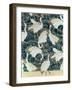 Wallpaper Design, by the Silver Studio, c.1890-null-Framed Giclee Print