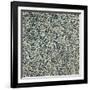 Wallpaper with Navy Blue Seaweed Style Design-William Morris-Framed Giclee Print