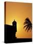 Walls and Forts Built Around the Old City, Cartagena, Colombia-Greg Johnston-Stretched Canvas