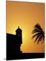 Walls and Forts Built Around the Old City, Cartagena, Colombia-Greg Johnston-Mounted Premium Photographic Print