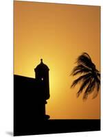 Walls and Forts Built Around the Old City, Cartagena, Colombia-Greg Johnston-Mounted Photographic Print